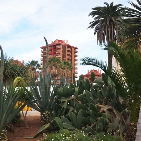 Sunshine Studio Puerto de la Cruz  Dış mekan fotoğraf